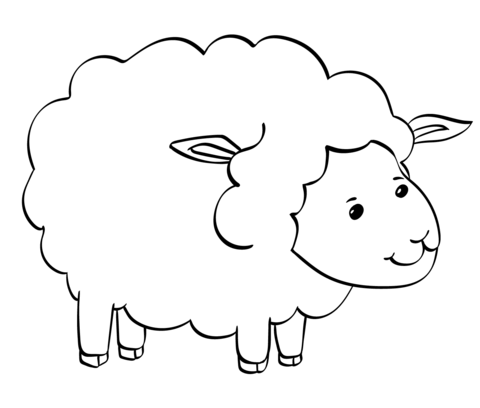 Cute Sheep Coloring Page